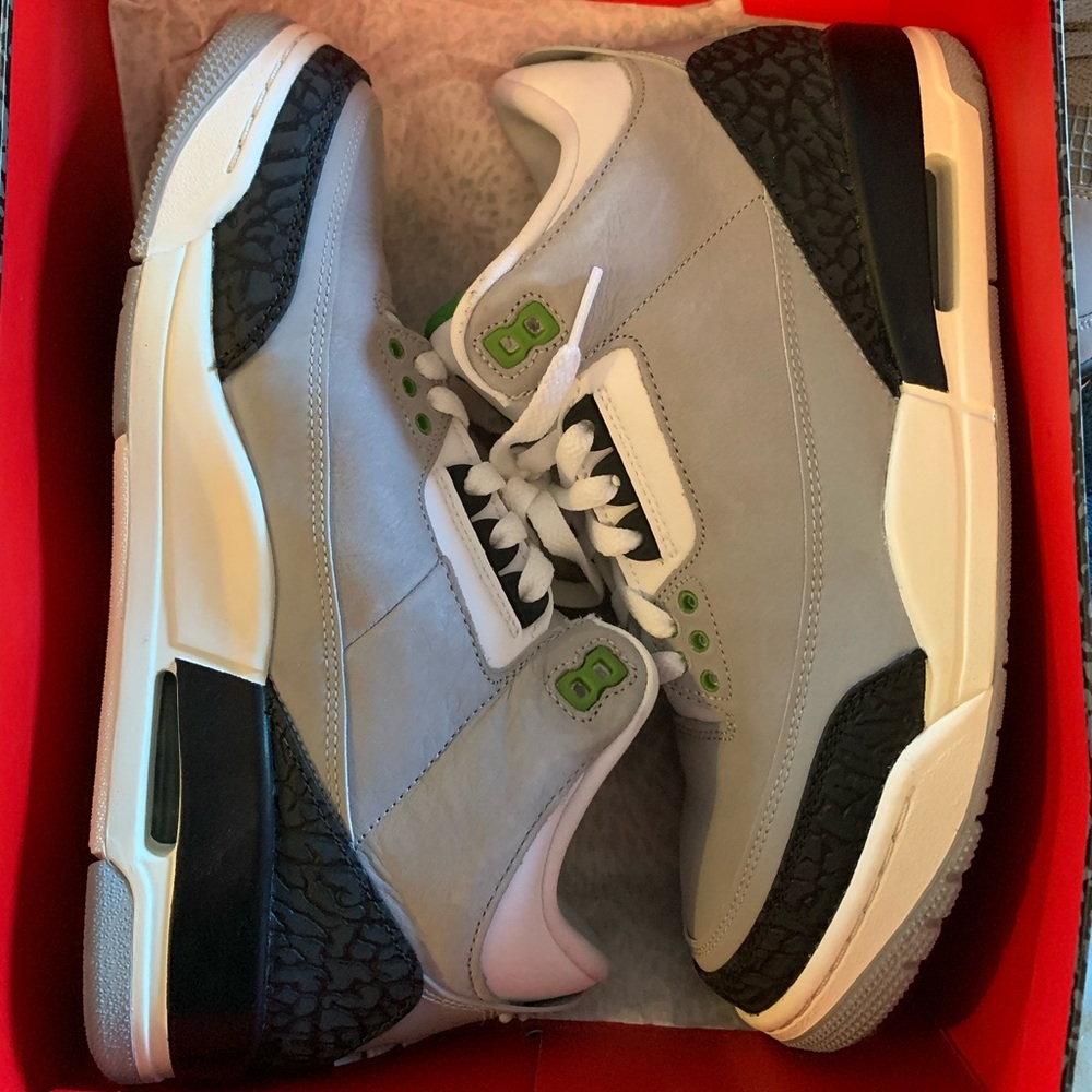 Jordan 3 chlorophyll